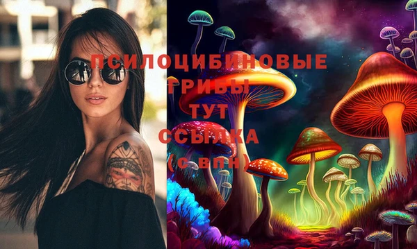 мескалин Сясьстрой